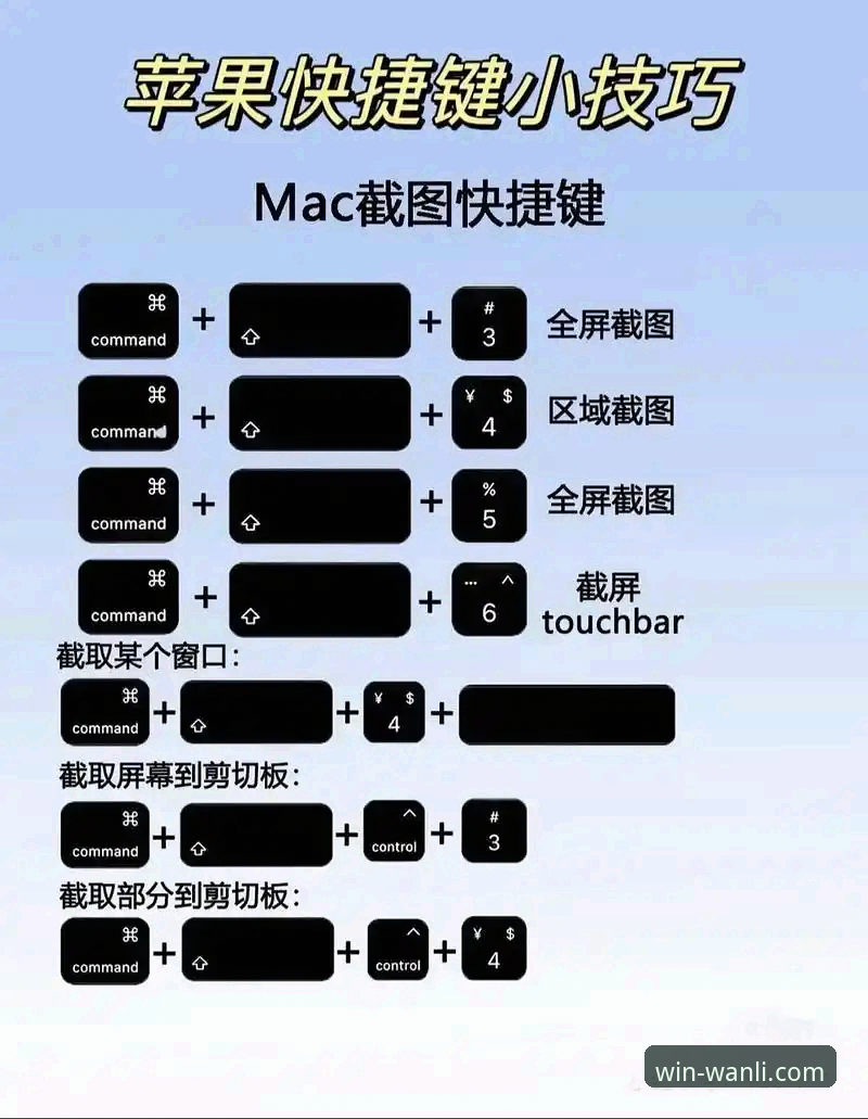 万利官网电脑版下载安装详解：新手必看操作指南